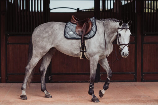 Equestrian Stockholm Crystal Grey